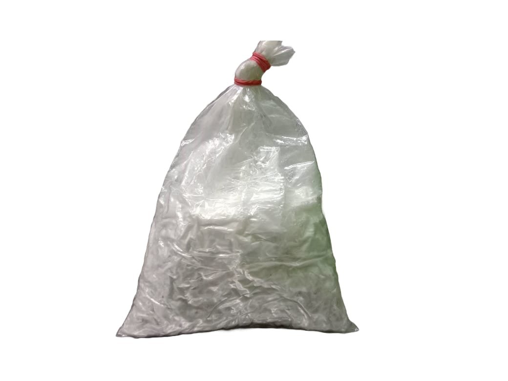 Oyester Mushroom Spawn